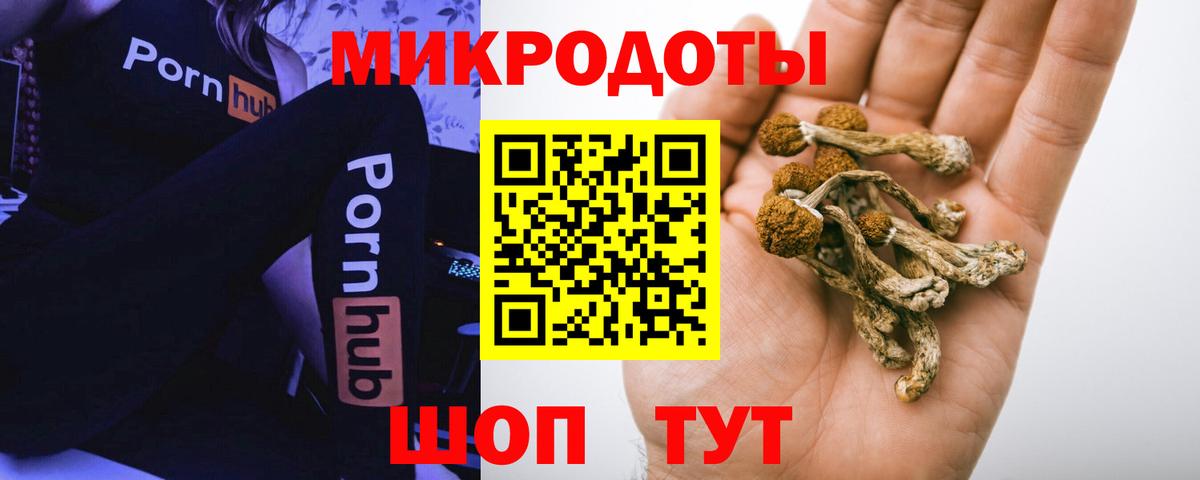Псилоцибиновые грибы Cubensis Можайск