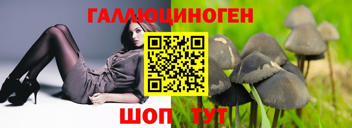 Можайск  Галлюциногенные грибы Psilocybine cubensis  Псилоцибиновые грибы прущие грибы  Вход с VPN 